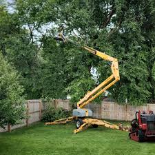 Best Tree Risk Assessment  in Chilton, WI