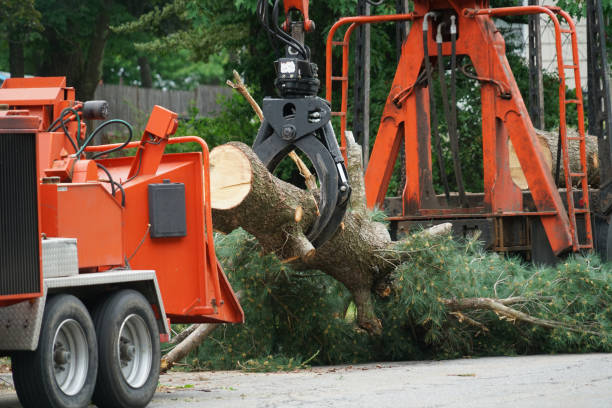 Best Lawn Irrigation Installation and Maintenance  in Chilton, WI