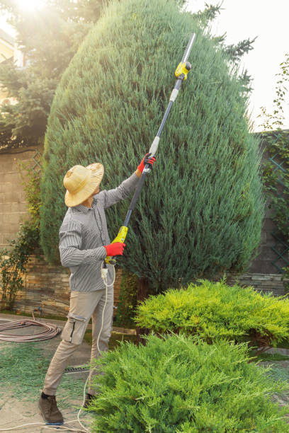 Best Artificial Turf Installation  in Chilton, WI